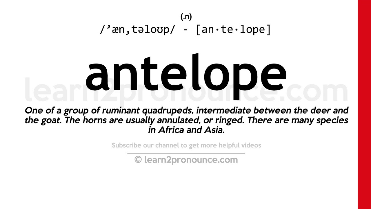 antelope pronunciation