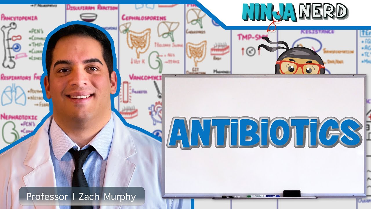 antibiotics ninja nerd