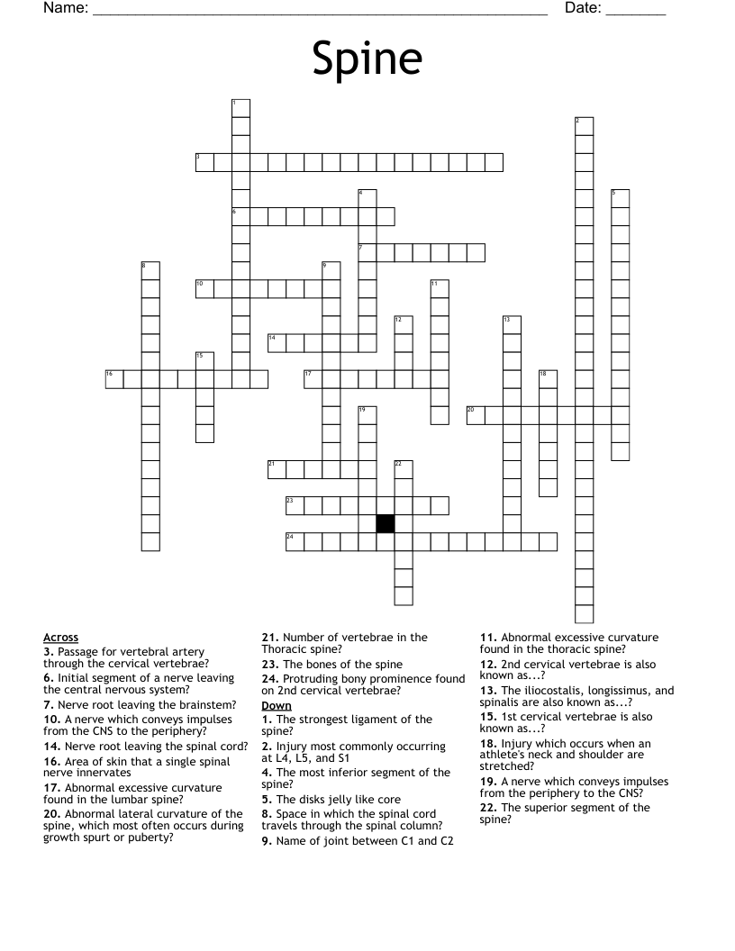 any of 12 spinal bones crossword clue