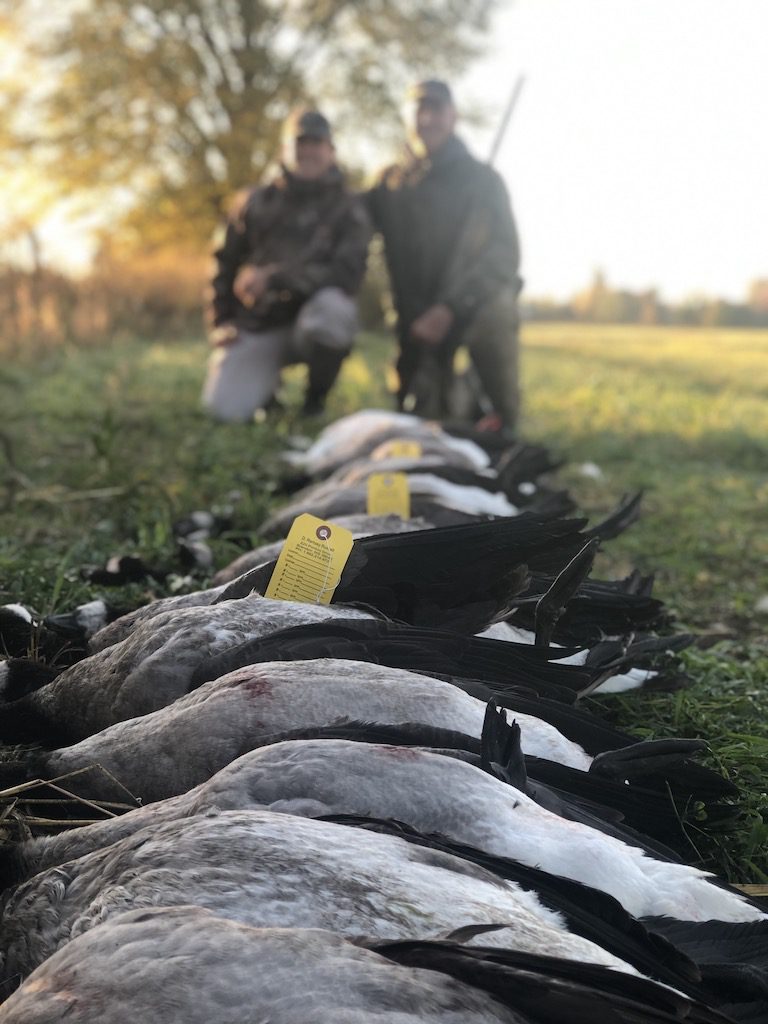 apex waterfowling ontario