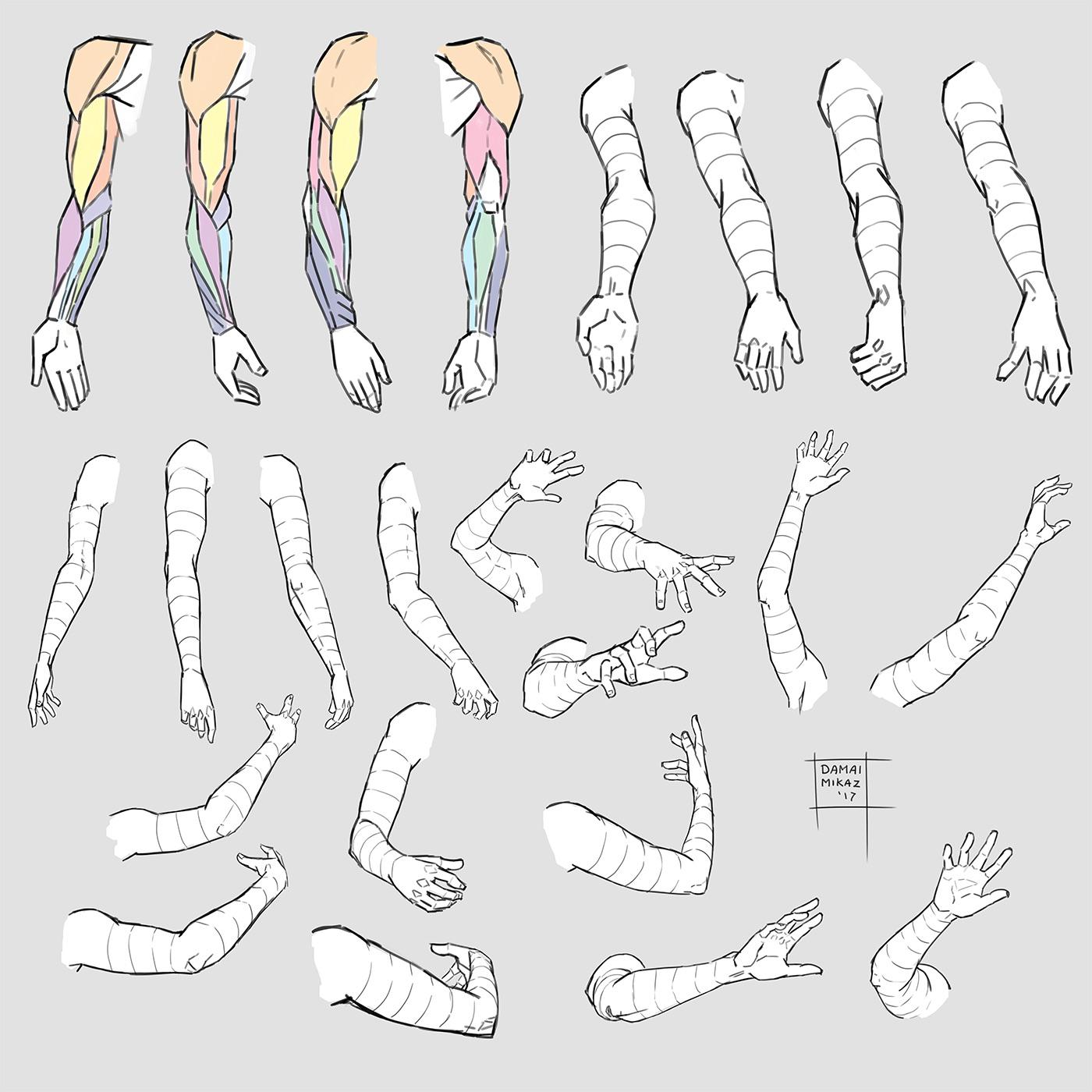 arm drawing reference