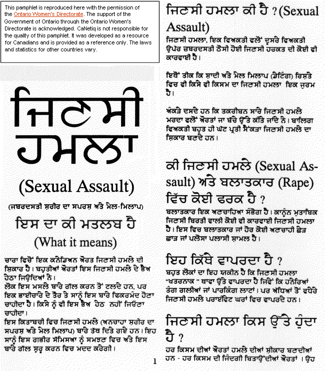 assertion meaning in punjabi