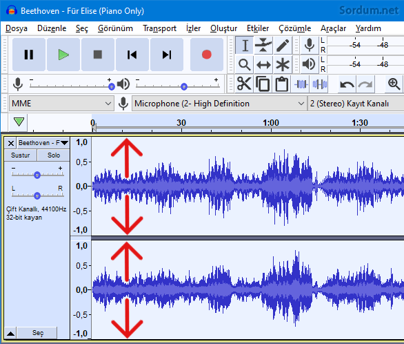 audacity ne demek