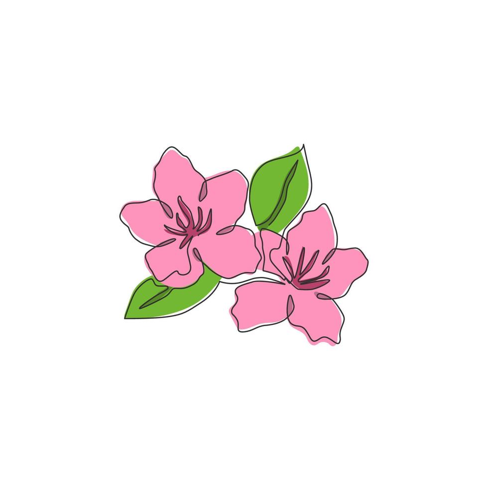 azaleas dibujo