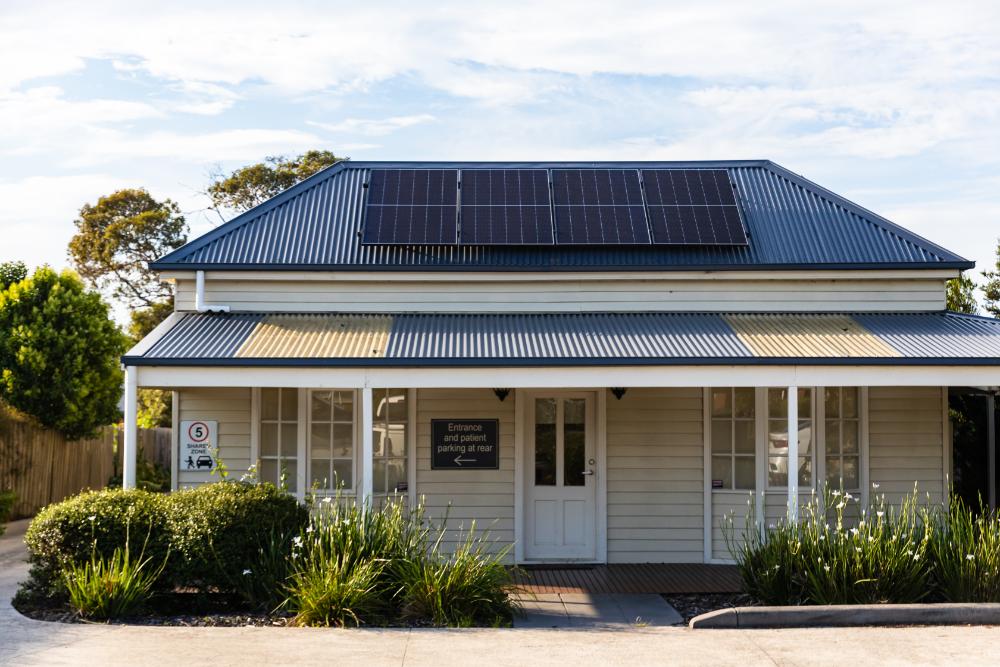 mt eliza dentist