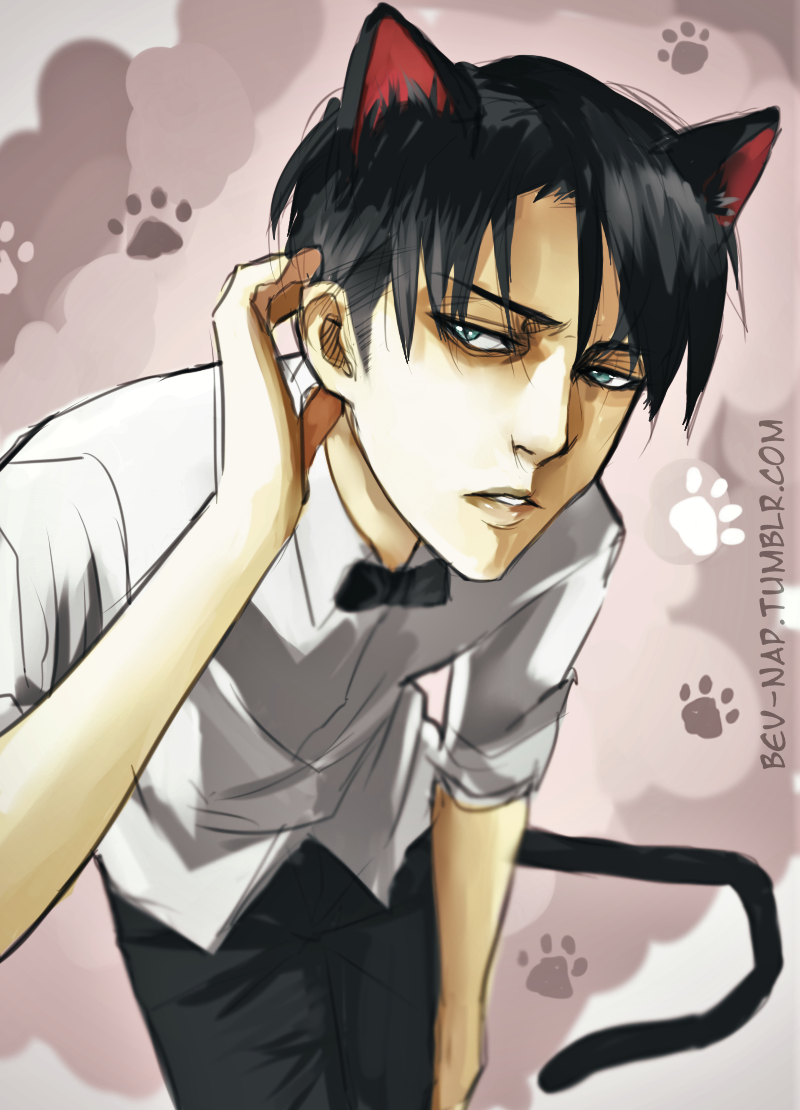 neko levi ackerman