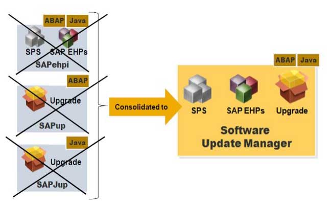 sap sum guide