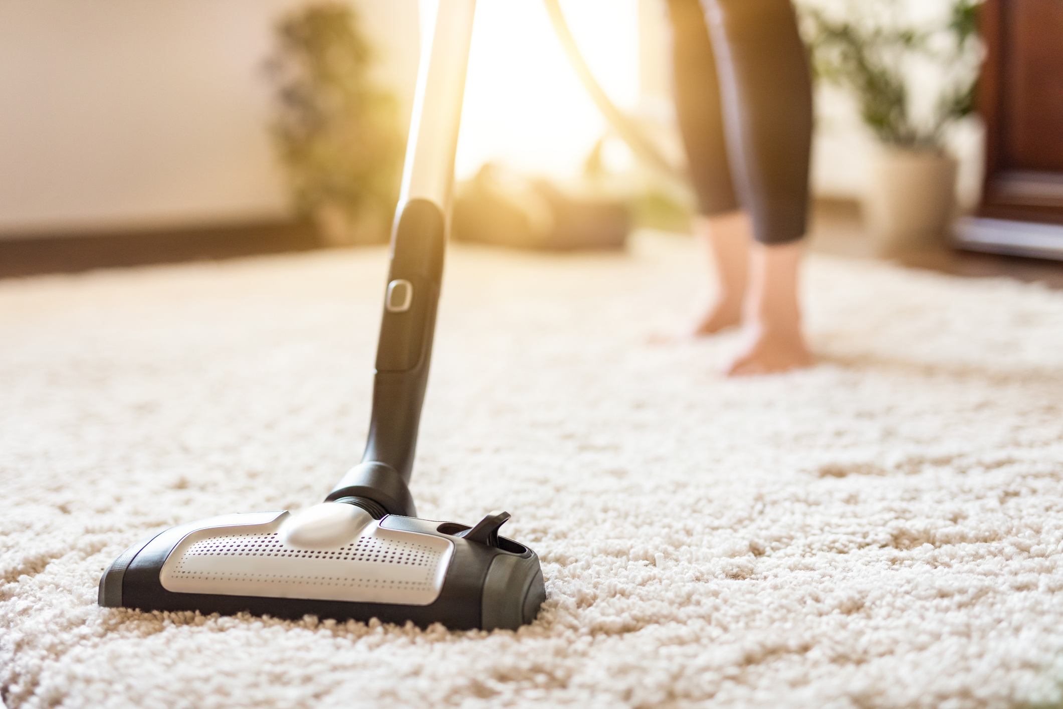 some handy ideas to keep your carpets clean. vexhibits.com