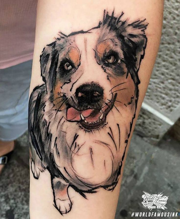 aussie shepherd tattoo