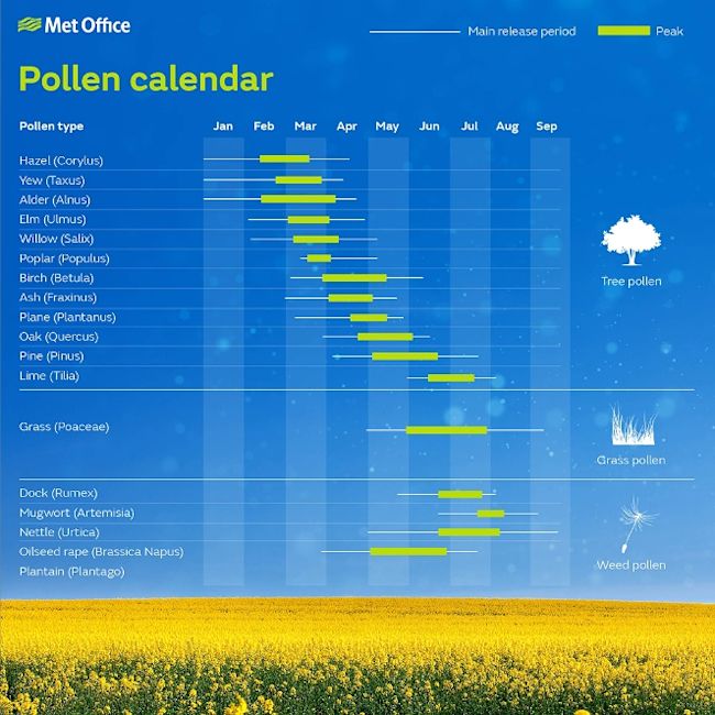 pollen.count london