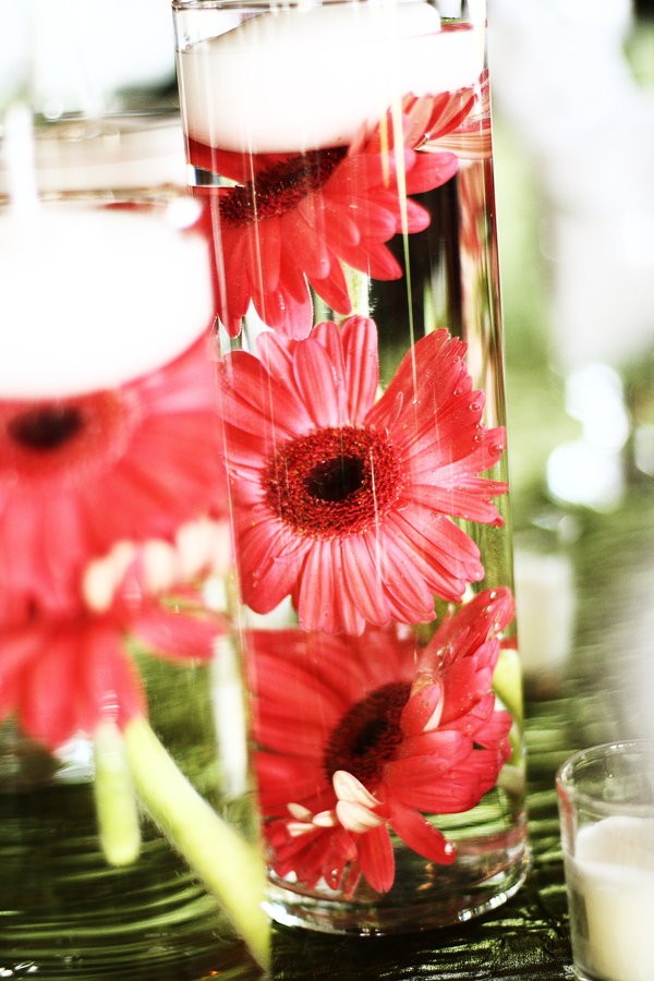 floating flowers in vase