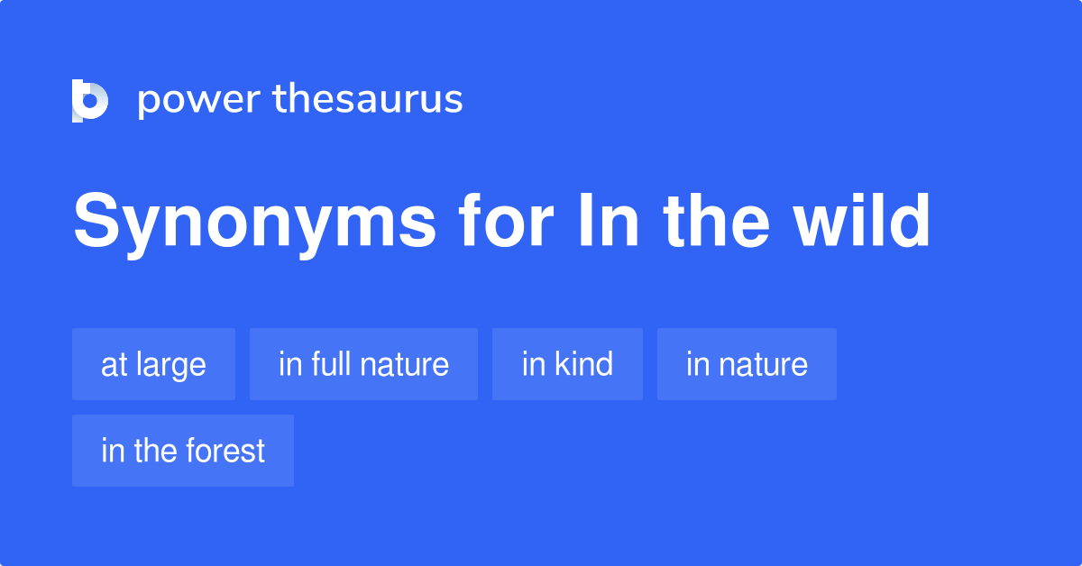 thesaurus for wild