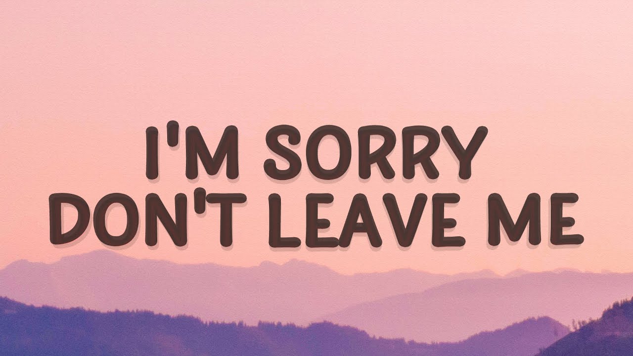 im sorry dont leave me lyrics