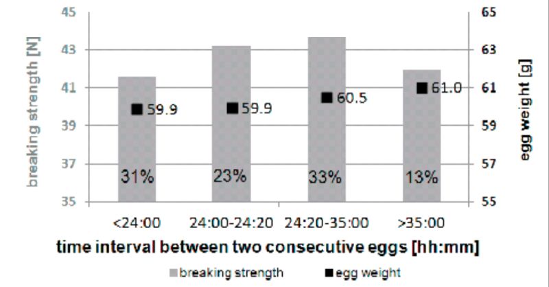 lay egg interval