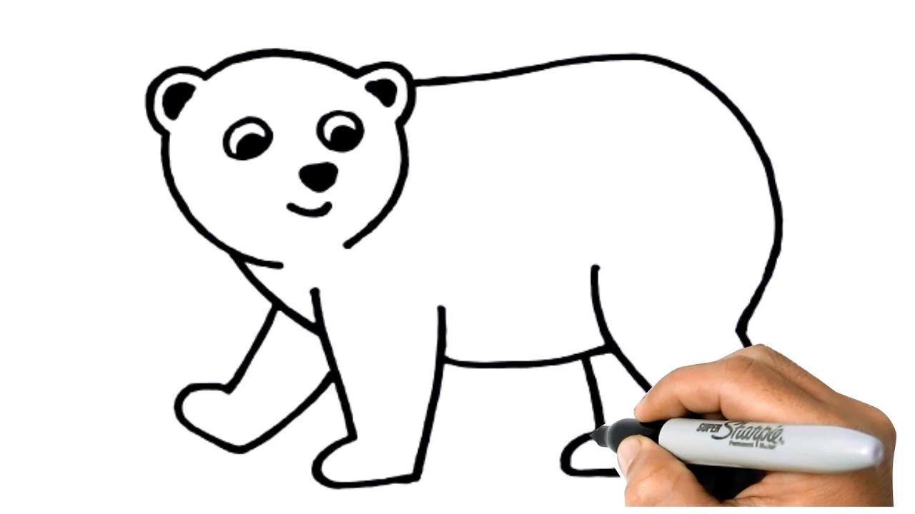 draw polar bear easy