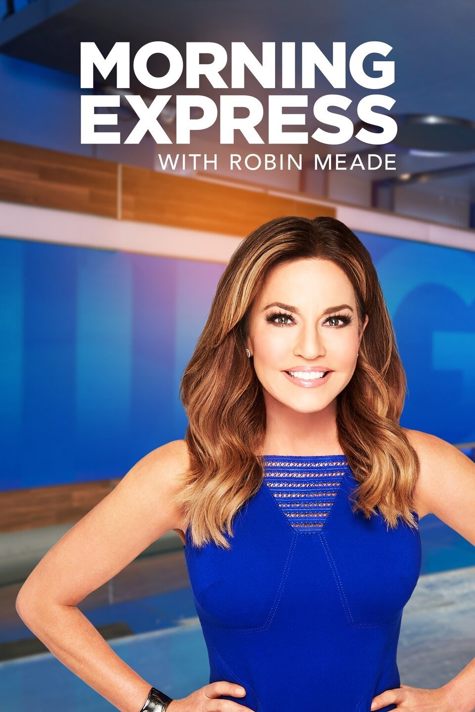 robin meade pics