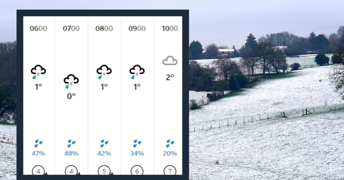 bbc colchester weather