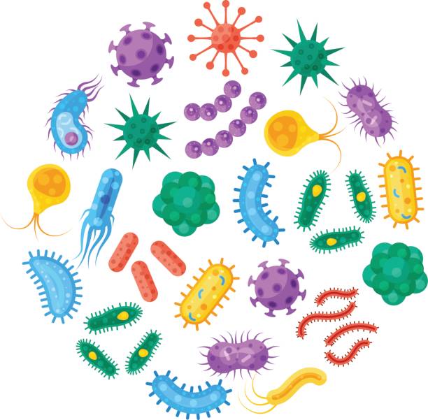 germs clipart