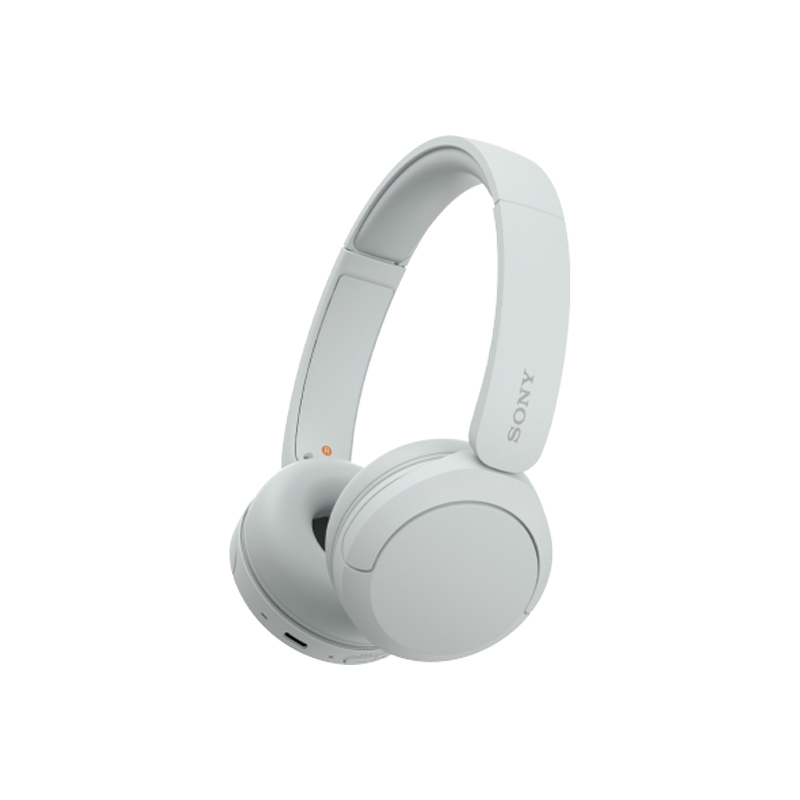 wh-ch520 wireless headphones with microphone