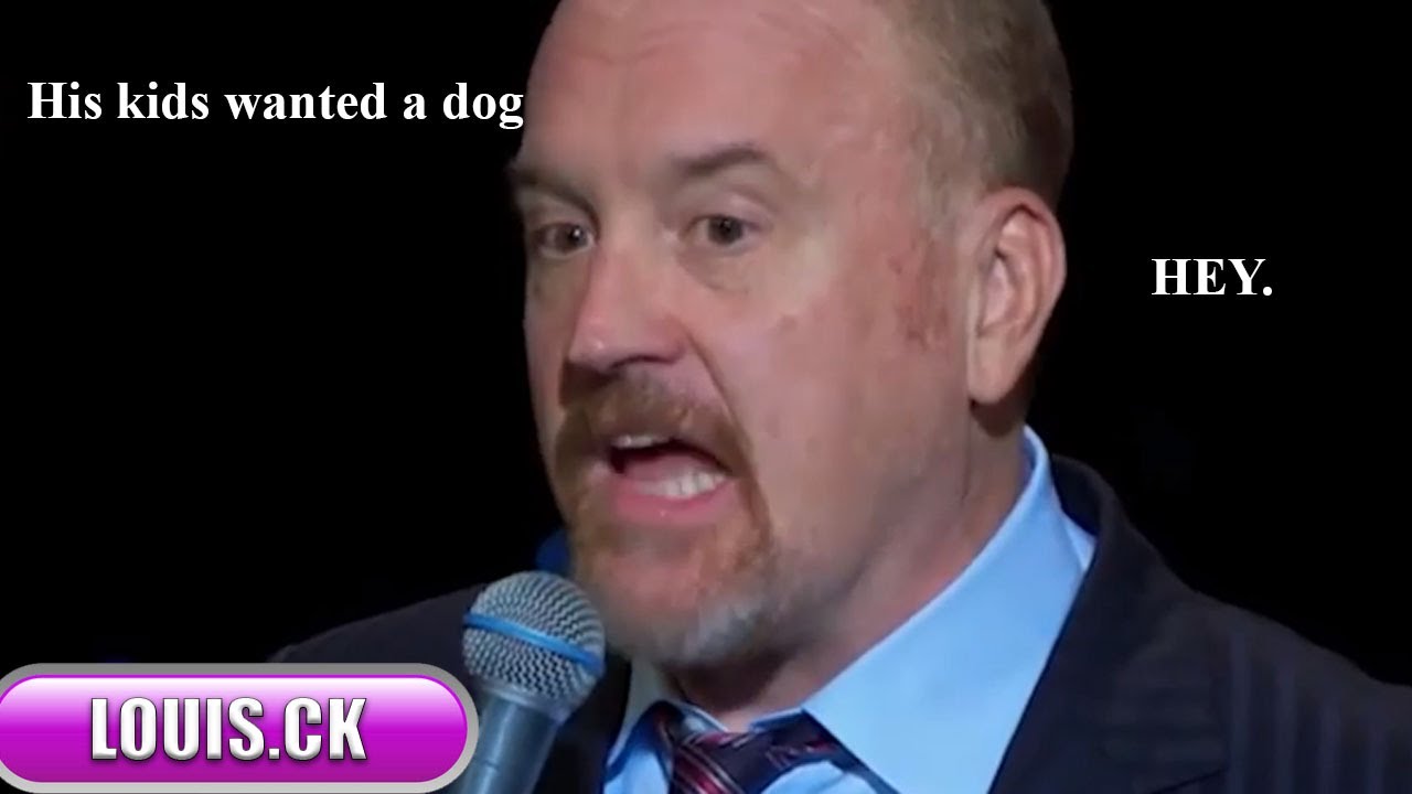 louis ck dog adoption