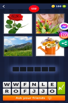 4 pics 1 word level 132