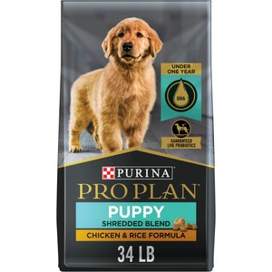 best dog food for golden retrievers