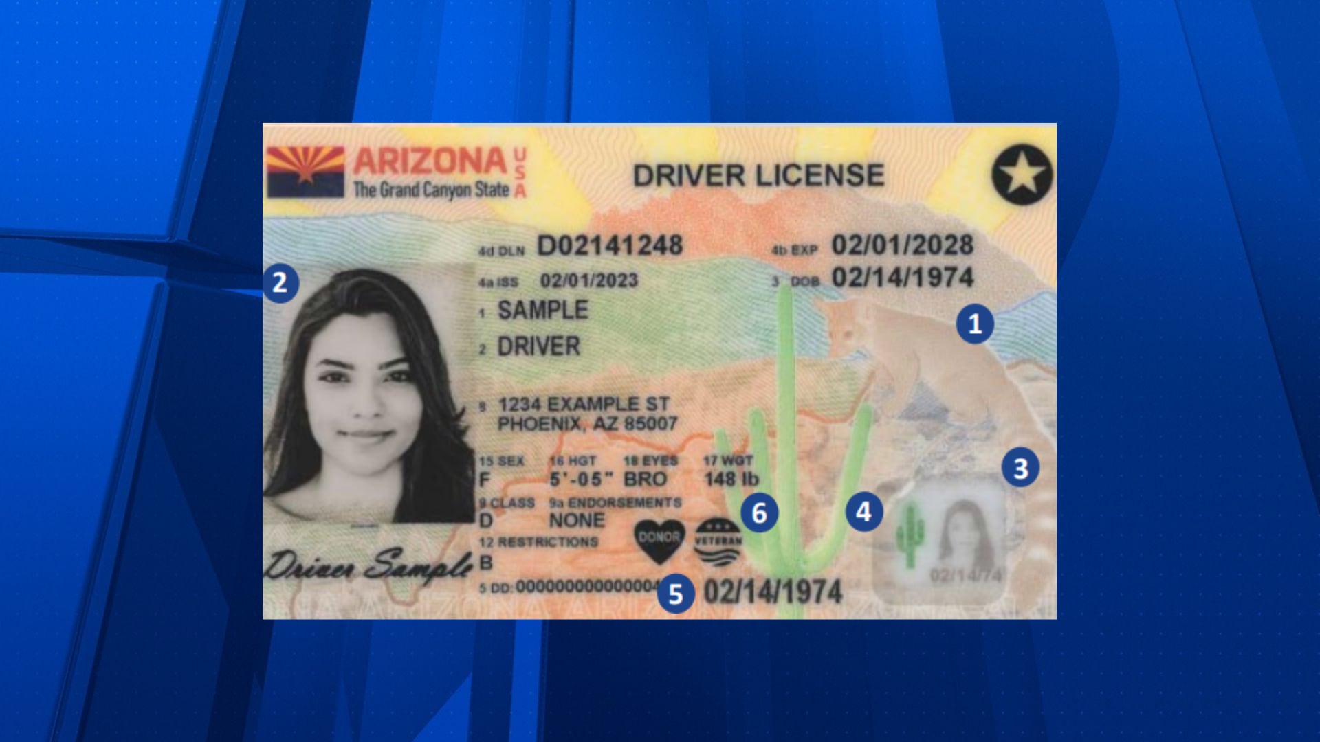 longest drivers license expiration