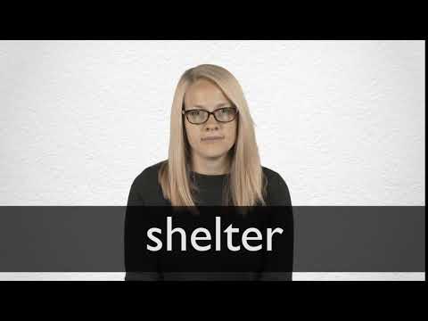 shelter synonyms