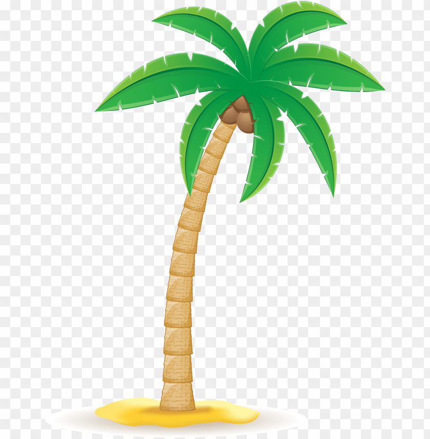 coconut tree clipart png