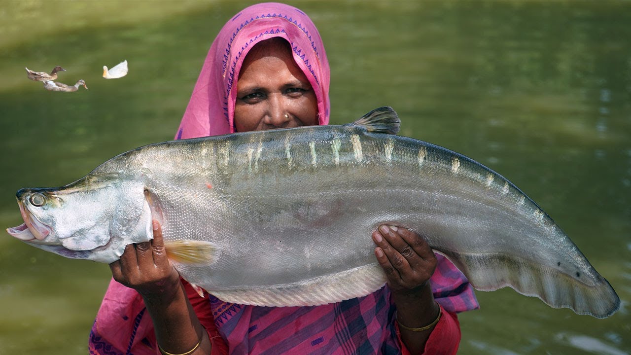 big chital fish