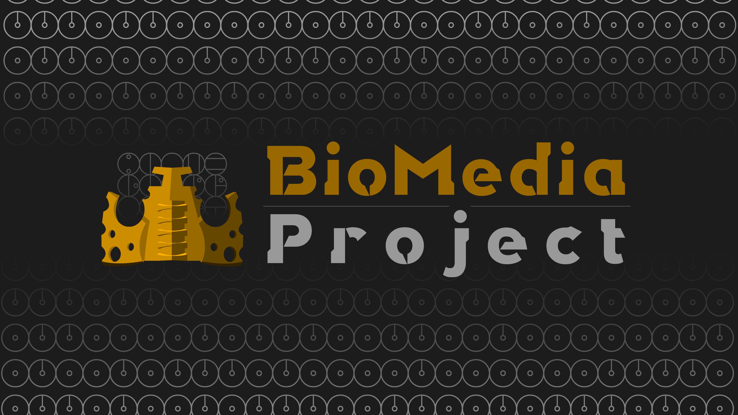 biomedia project games