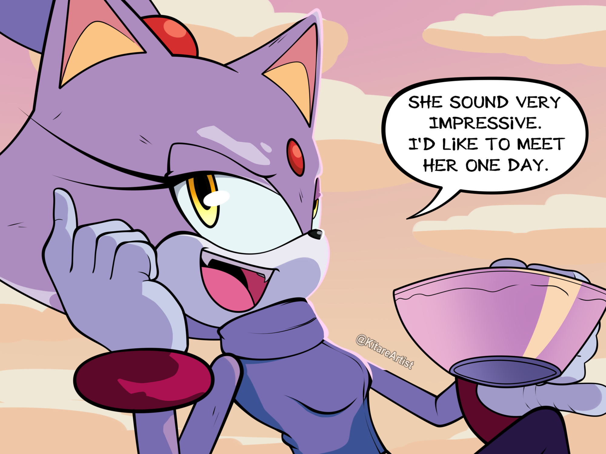 blaze the cat idw