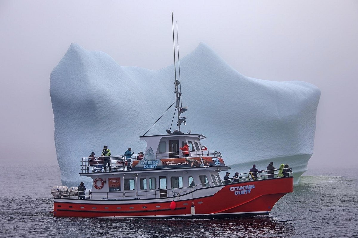 boat tours twillingate