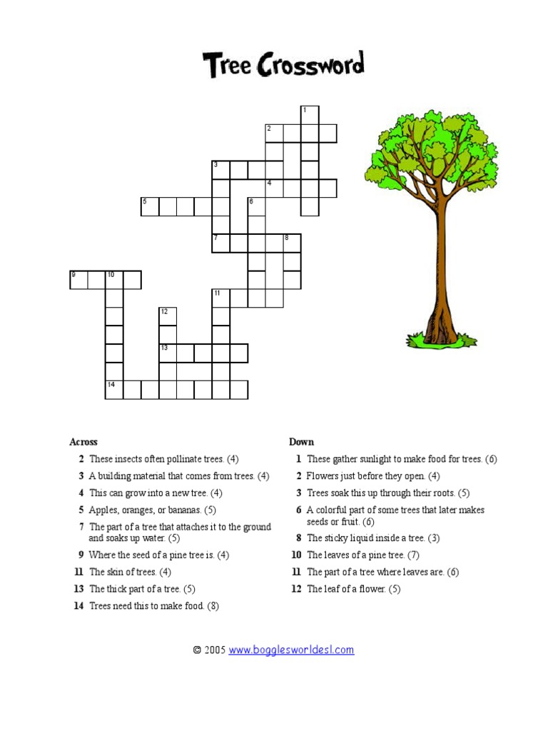 body part tree crossword clue