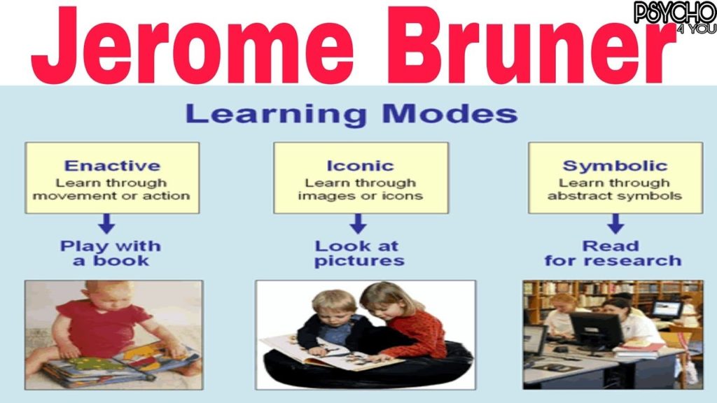 bruners stages of cognitive development