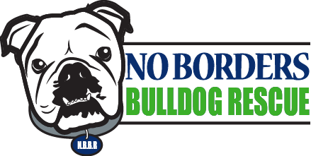 bulldog rescue texas