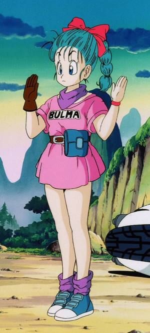 bulma briefs