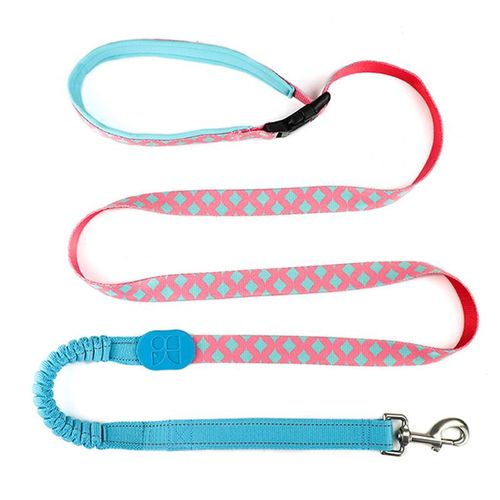 bungee dog leash extension