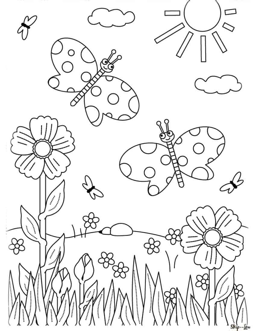 butterfly on a flower coloring pages