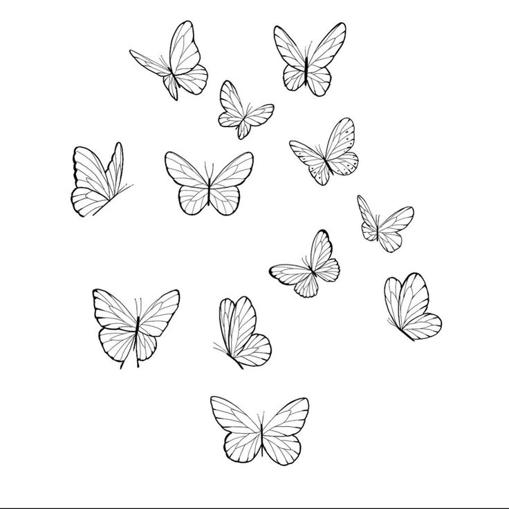 butterfly tattoo stencil