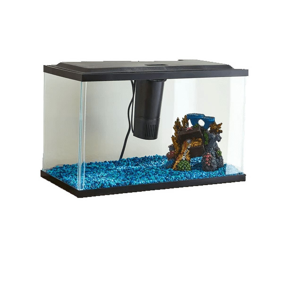 5 gallon fish tank