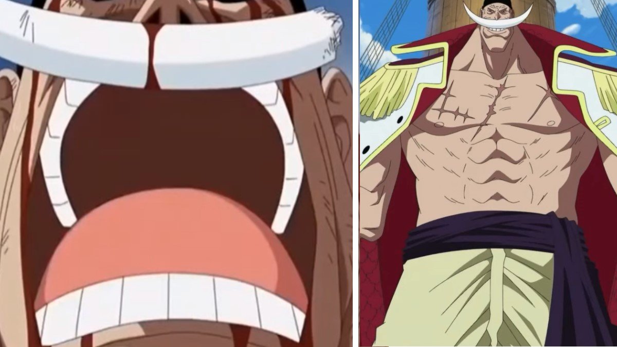 the one piece is real meme