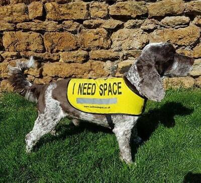 i need space dog vest