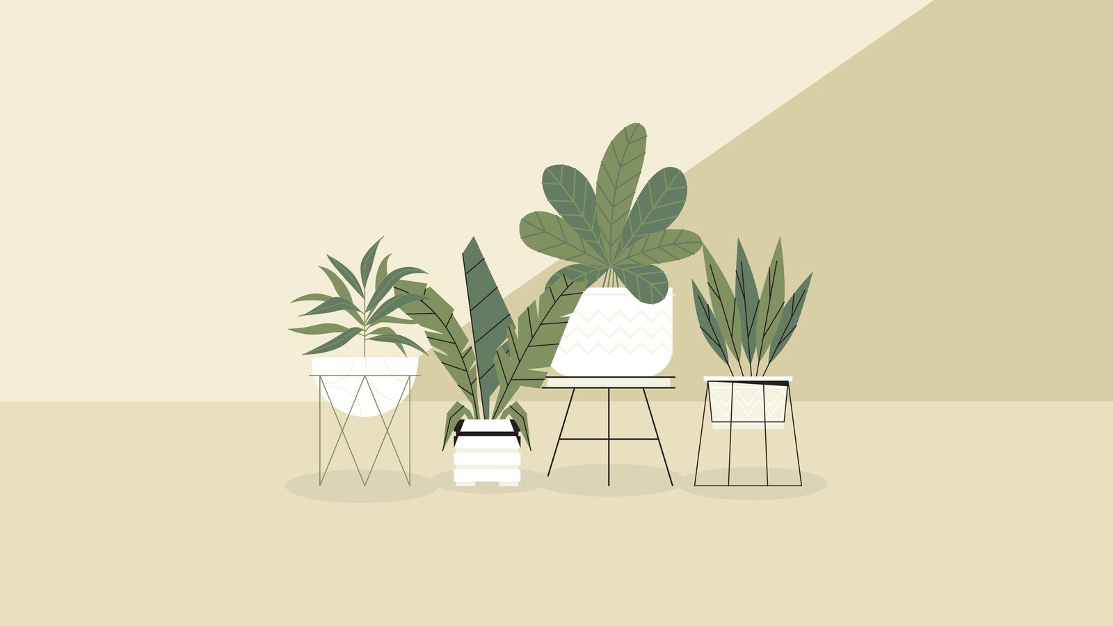 wallpaper plants minimalist