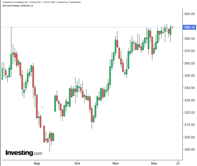 trigo investing