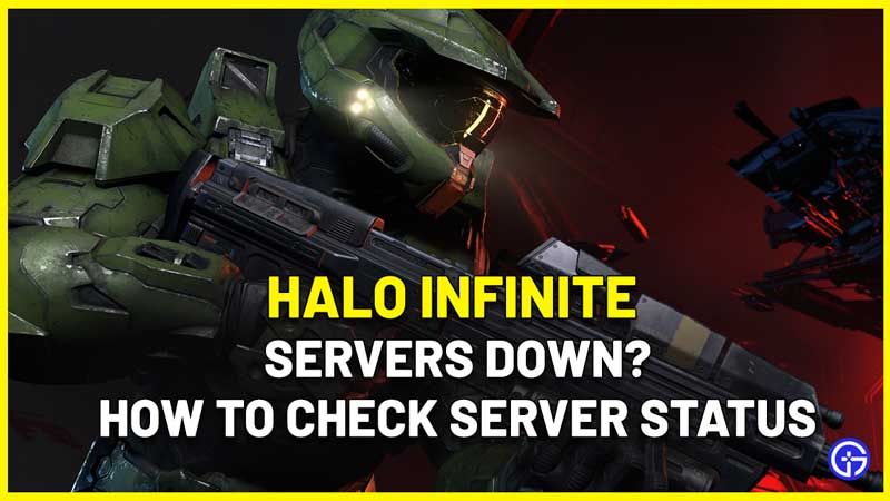 halo infinite server status