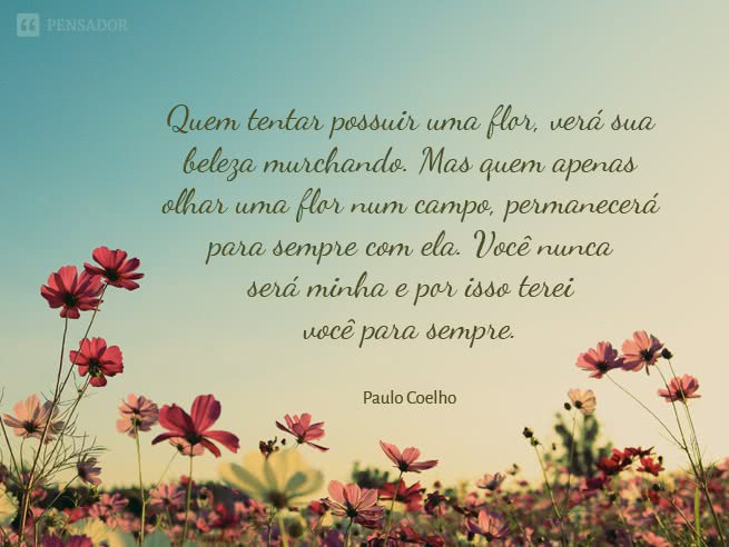 paulo coelho frases de vida