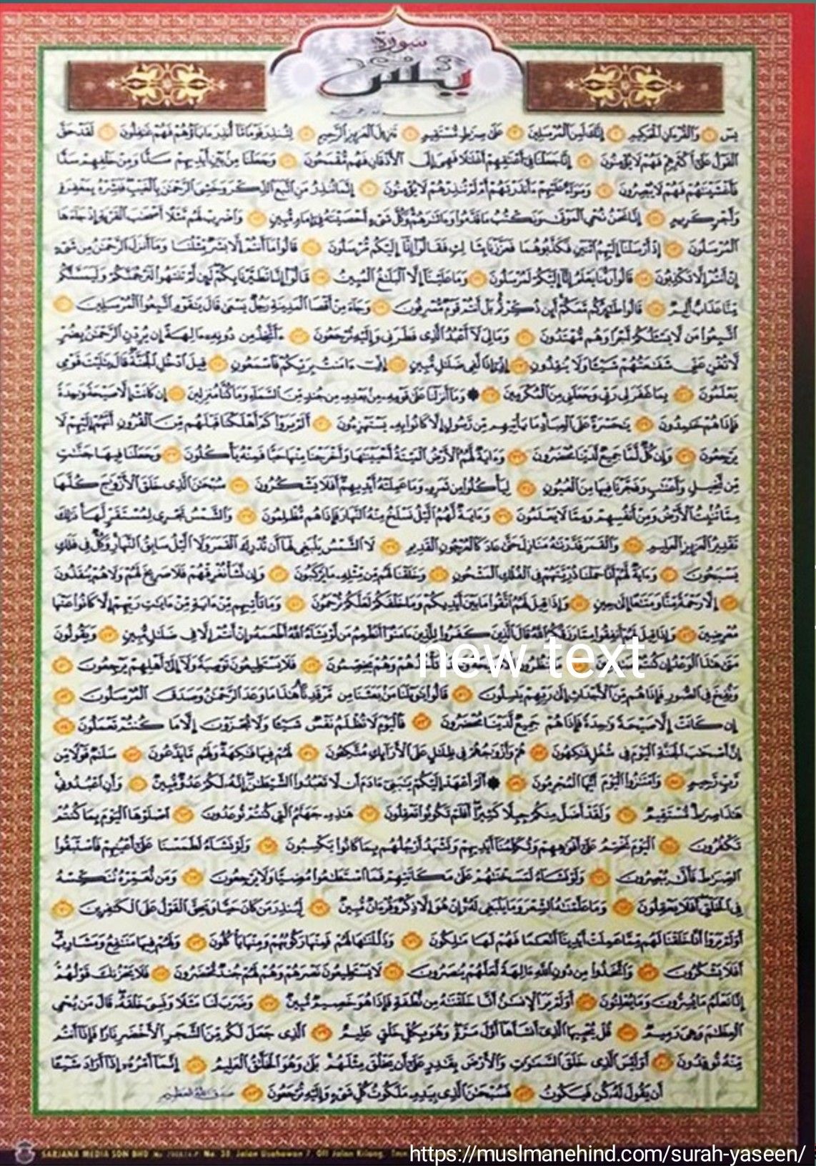 yaseen surah