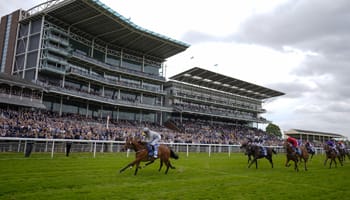 york races tips