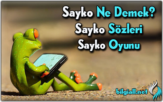 sayko ne demek